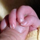 חידושים ב-IVF, האם ניתן לשפר עוד?