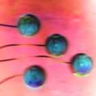 IVF - על טיפולי הפריה חוץ גופית