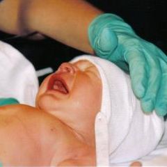IVF: השלבים בדרך להפריה החוץ-גופית
